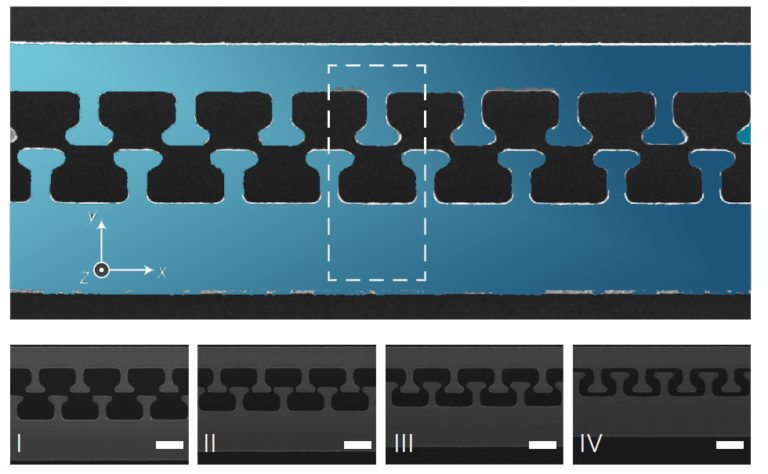 Image of a Casimir-on-a-chip device